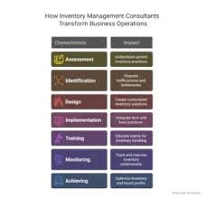 inventory management consultants