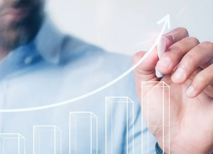 Business Management Consultant