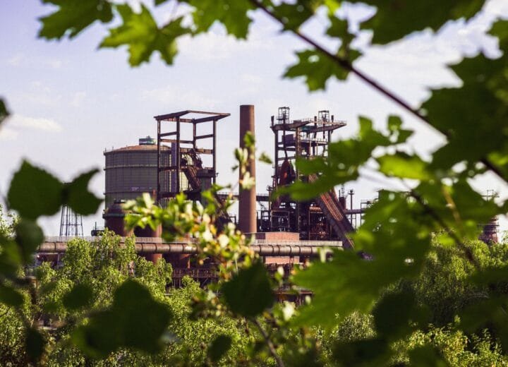 Industrial buildings framed by greenery