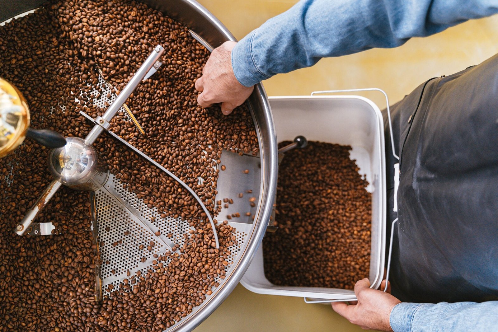 Hands delicately managing freshly roasted coffee beans in a roaster from a top view